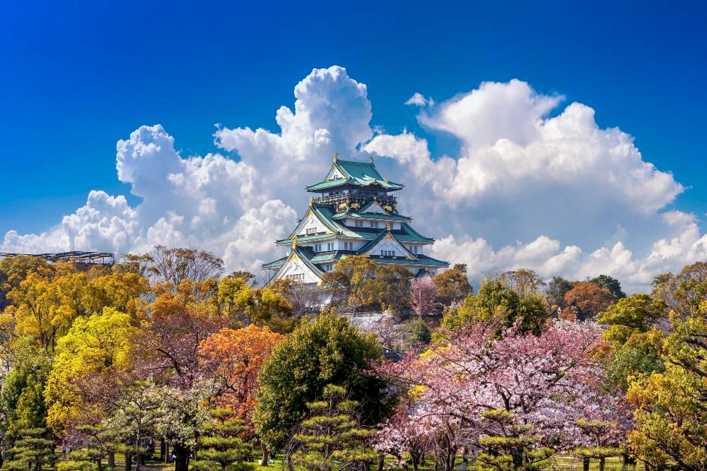 The castle played a crucial role in Japanese history during the unification period and now houses a comprehensive museum showcasing samurai culture, castle history, and Hideyoshi's life (Source: Freepik)